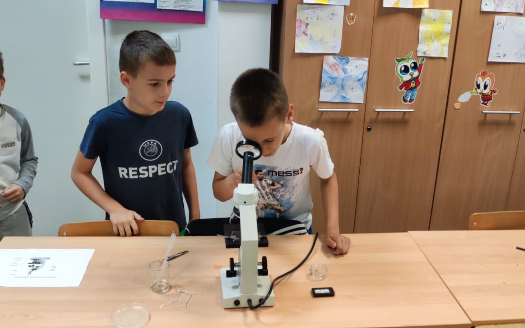 Edukativna radionica Virusi u mreži
