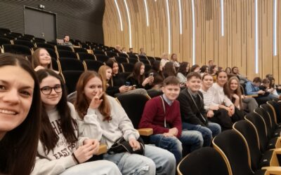 Aktivnosti Mirotvorne škole